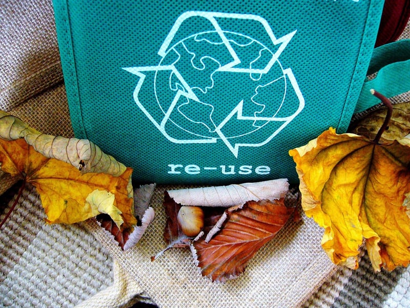 Recycled Crafts